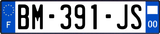 BM-391-JS