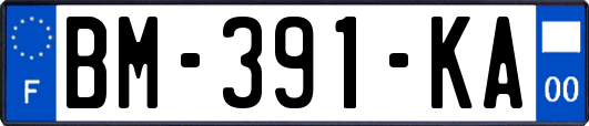 BM-391-KA