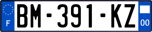 BM-391-KZ