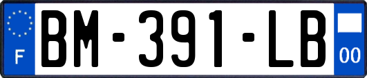 BM-391-LB