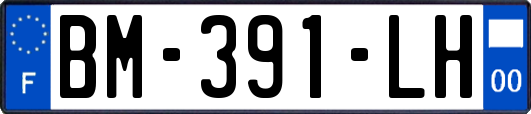 BM-391-LH