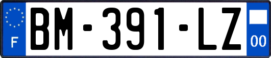 BM-391-LZ