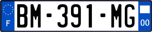 BM-391-MG