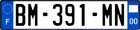 BM-391-MN