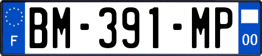 BM-391-MP