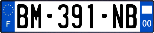 BM-391-NB