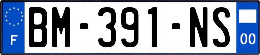 BM-391-NS