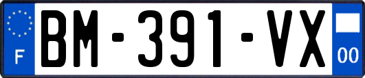 BM-391-VX
