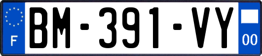 BM-391-VY