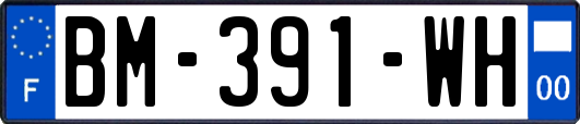 BM-391-WH