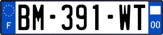 BM-391-WT