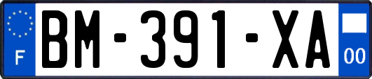 BM-391-XA