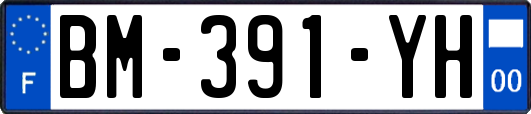 BM-391-YH