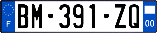 BM-391-ZQ