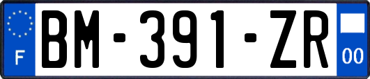 BM-391-ZR