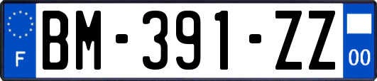 BM-391-ZZ