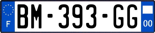 BM-393-GG