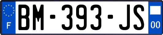 BM-393-JS