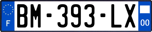 BM-393-LX