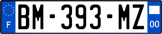 BM-393-MZ