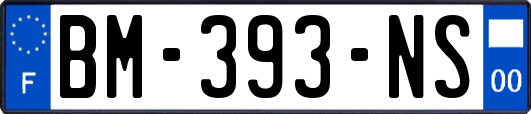 BM-393-NS