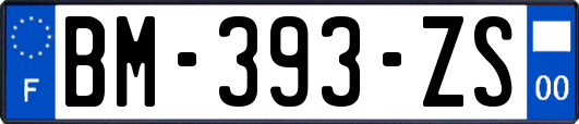 BM-393-ZS