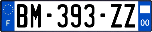 BM-393-ZZ