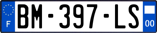 BM-397-LS