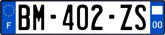 BM-402-ZS