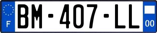 BM-407-LL