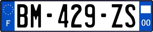 BM-429-ZS