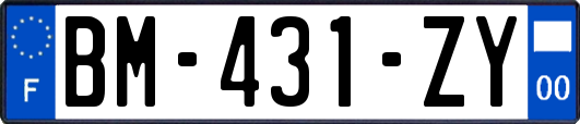 BM-431-ZY