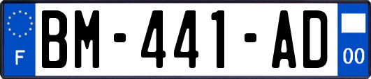 BM-441-AD