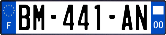 BM-441-AN