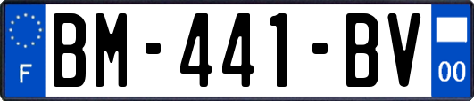 BM-441-BV