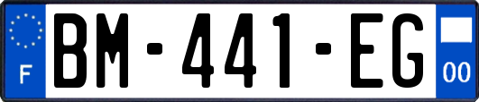 BM-441-EG