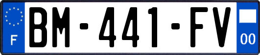 BM-441-FV