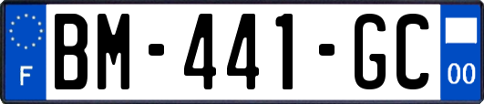 BM-441-GC