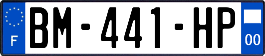 BM-441-HP