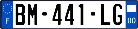 BM-441-LG