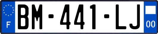 BM-441-LJ