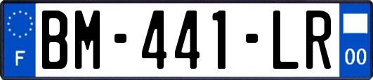 BM-441-LR