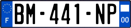 BM-441-NP