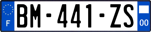 BM-441-ZS