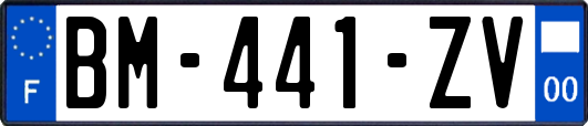 BM-441-ZV