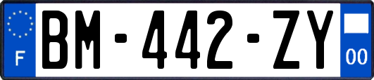 BM-442-ZY