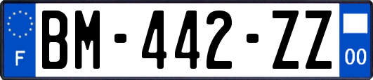 BM-442-ZZ