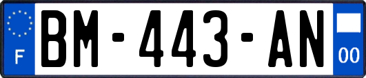 BM-443-AN