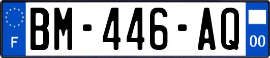 BM-446-AQ