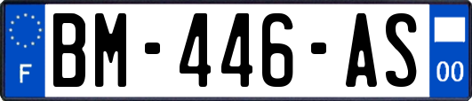 BM-446-AS